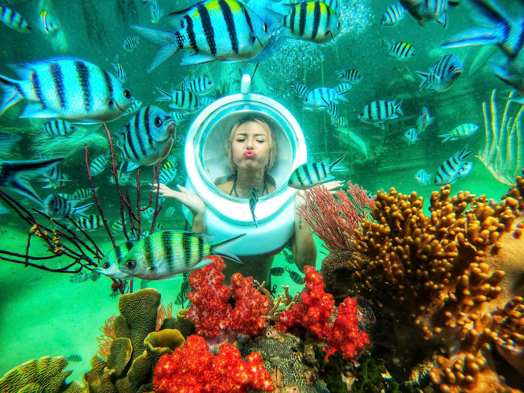 Những điểm nổi bật của tour