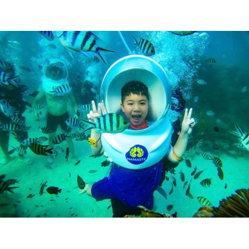 Đi Bộ Dưới Biển Tại Công Viên San Hô Namaste