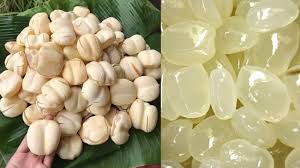 Trái Thốt Nốt – Đặc Sản Miền Tây Đậm Hồn Quê