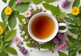 2. Công dụng đối với sức khỏe