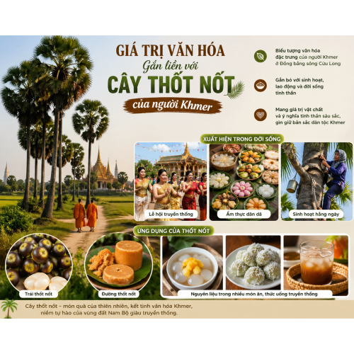 Giá Trị Văn Hóa Gắn Liền Với Cây Thốt Nốt Của Người Khmer